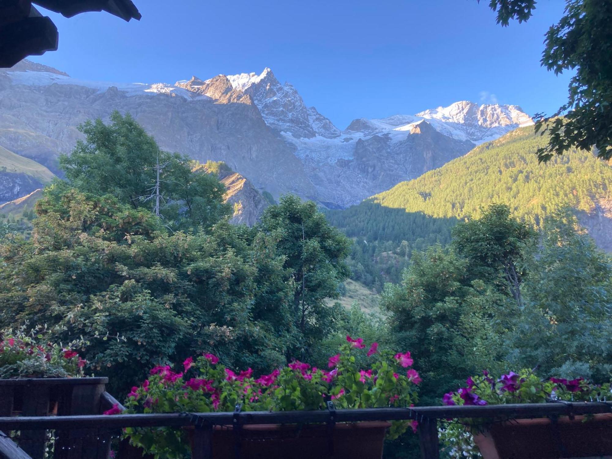 Hotel Des Alpes - Skiers & Bikers Lodge 拉格拉沃 外观 照片